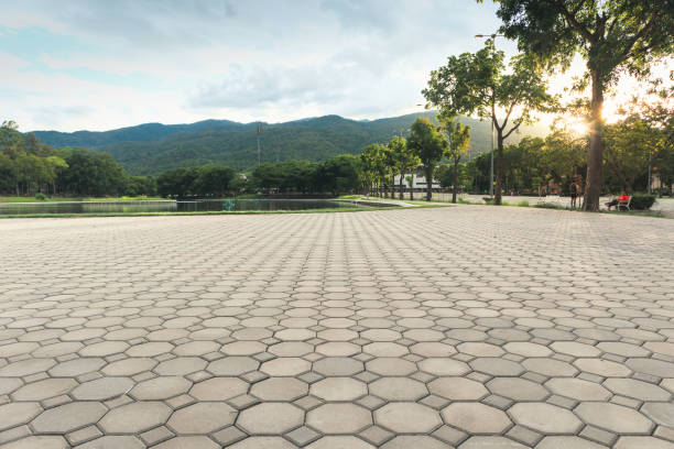 Best Decorative Driveway Pavers  in Von Ormy, TX