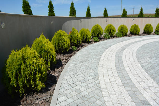  Von Ormy, TX Driveway Pavers Pros